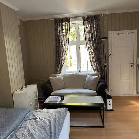 Studio-apartment In Lejlighed Horten